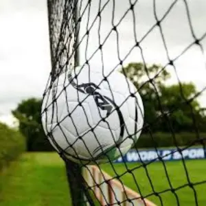 Sports Nets
